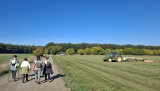 26_10_06 Zvíkov 06.jpg