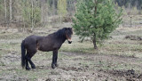 26_04_16_ Plachta 02.jpg