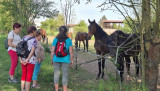 26_05_05_Březovice 08.jpg